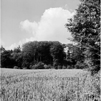 ID des Kreisarchivs 123694