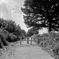 ID des Kreisarchivs 123697