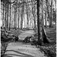ID des Kreisarchivs 123712