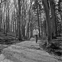 ID des Kreisarchivs 123713