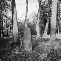 ID des Kreisarchivs 123770