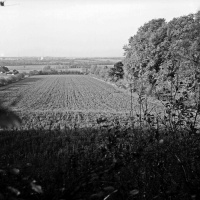 ID des Kreisarchivs 123774