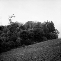 ID des Kreisarchivs 123775