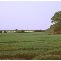 ID des Kreisarchivs 176492