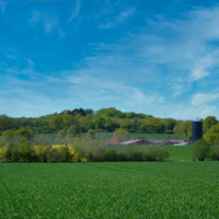 Schüberg 007