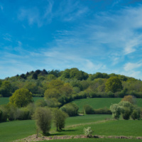 Schüberg 014