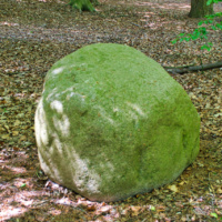 Schüberg 019