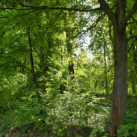 Schüberg 023