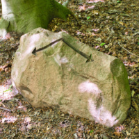 Schüberg 033