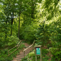 Schüberg 035