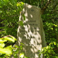 Schüberg 036